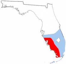 Map of Florida showing the territory of the Calusa tribe from wikipedia. The red shows there core area, while the blue shows their political influence. 